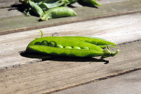 Peasの写真素材