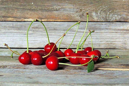 Cherryの写真素材