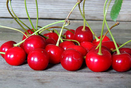 Cherryの写真素材