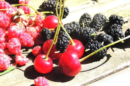 Fruitの写真素材