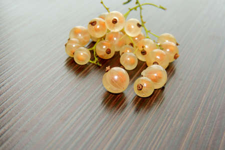 White Currantの写真素材