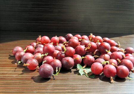 Gooseberryの写真素材