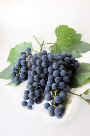 Grapesの写真素材