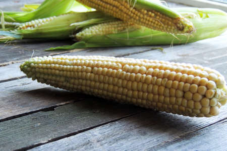 Cornの写真素材