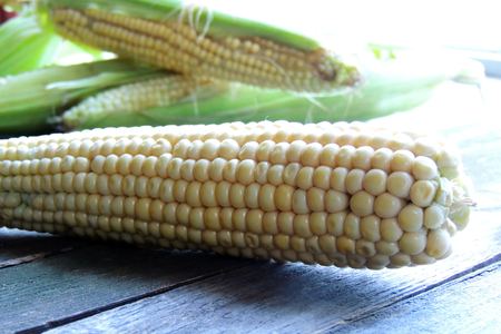 Cornの写真素材
