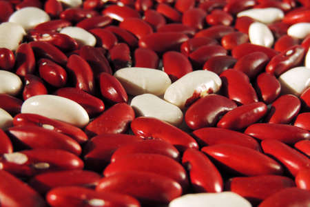 Beansの写真素材