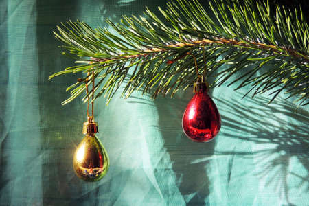 New yearの写真素材