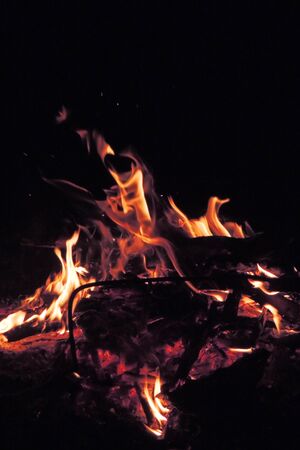 Burning wood. The fire. Background. Nature. Fireの写真素材