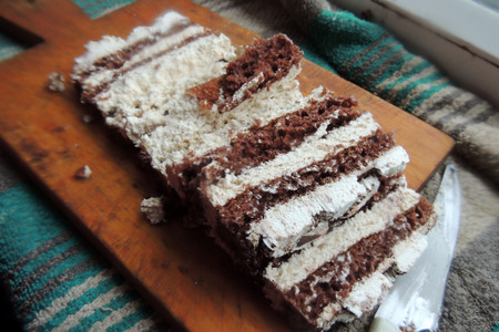 Slice of self-made italian tiramisu dessert served on a plate