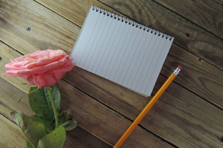 Rose, a pencil and a Notepad, to write the congratulation on March 8の写真素材