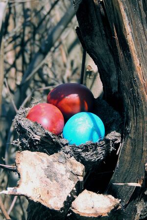 Colorful easter eggs in nest on meadow