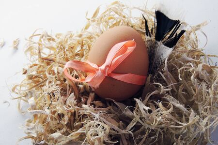 Chicken eggs in the nest at Easter, on a white backgroundの写真素材