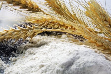 Heap of wheat flour with spikelets isolated on whiteの写真素材