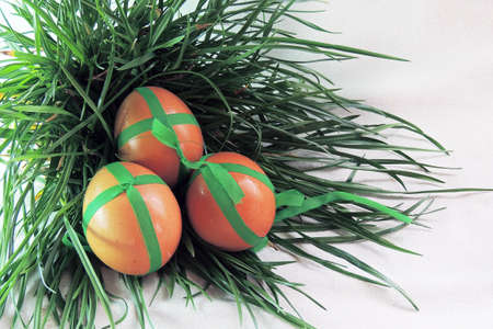 easter  eggs and green grass on white background