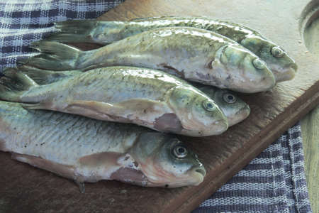 Fresh raw fish on a Board with lemon