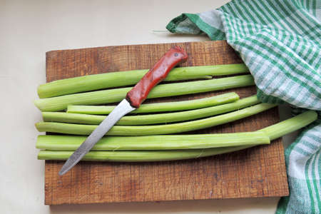 rhubarb stalks with leaves, freshly picked from the garden on a wooden table, closeup with selected focus, narrow depth of fieldの写真素材