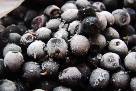 natural fresh blueberries closeup on dark backgroundの写真素材