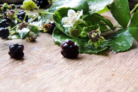 Blackberries , berries and flowers on wooden backgroundの写真素材
