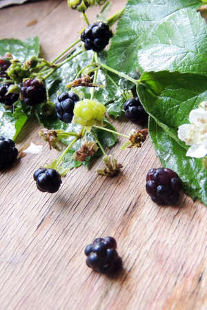 Blackberries , berries and flowers on wooden backgroundの写真素材