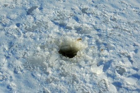 Beautiful winter landscape with snow covered treesの写真素材
