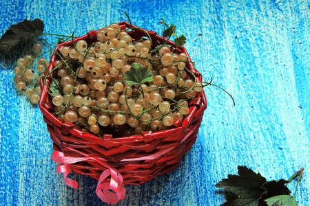 white currants in a jar on wooden background