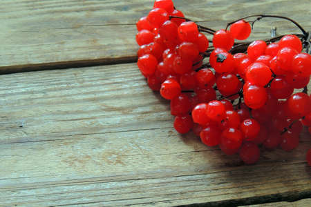 Red ripe Viburnum, kalina in autumn on wooden backgroundの写真素材
