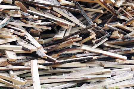 Natural background of wooden logs. Year rings. Deforestation theme. Sawmill. Harvesting of...