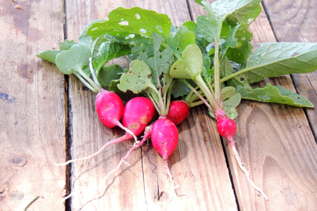 Fresh aromatic juicy ripe vegetables radish and juicy greens parsley dill pepper bay leaf layout pattern on a black background. Concept of healthy eating and vegetarianism. Copy space.top viewの写真素材