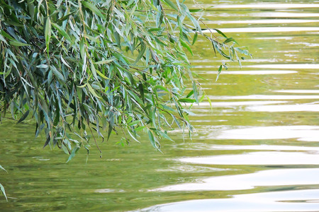 sea with waves and clear sky calm ocean water surface with small ripplesの写真素材