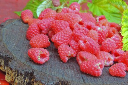 Fresh raspberry in white bowl and orange pastel textile on gray concrete background. side view,...