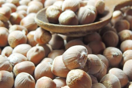 Hazelnut. Fresh organic filbert. Nuts macro. Food background.の写真素材