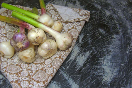 Organic farming background. Dirty garlic bulbs fresh gathered on field at ecological farm, closeup....