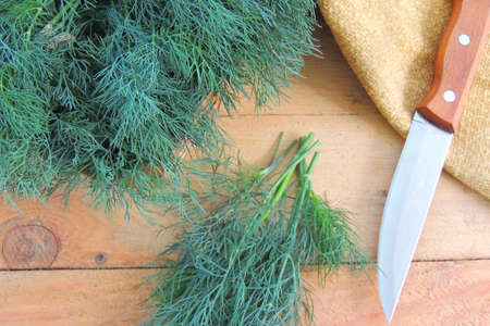 Fresh dill from the garden on the old wooden table in rustic style, selective focusの写真素材