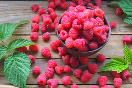Close-up of a white plate with fresh forest raspberries, which stands on a gray wooden bench....