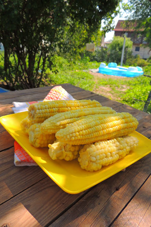 Boiled corn on a plate on a wooden table in the garden