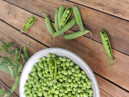 Fresh green peas in bowl and pea pods on wooden background.の写真素材