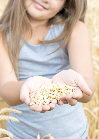 Wheat grains in the palms of a beautiful little girl. Symbol of life, peace, growth. Focus on palms of handsの写真素材