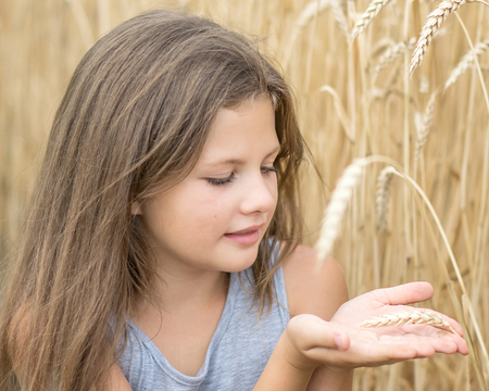 beautiful little girl holding wheat spike on hand palms in field at summer day. Concept of purity, growth, happinessの写真素材