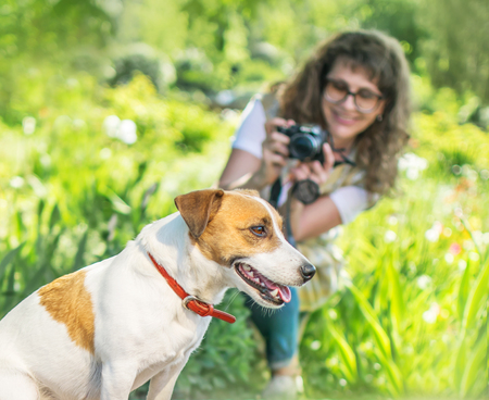 Young happy smiling woman photographer taking a photo of sitting small dog jack russel terrier outside in green summer park at sunny day. Hobby or Photographer jobの写真素材