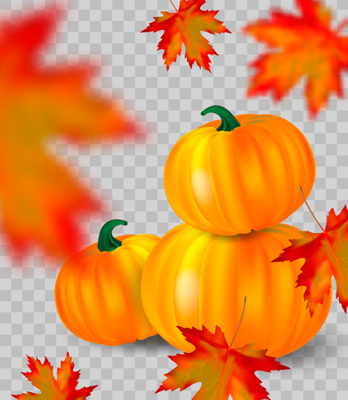 Bright orange pumpkins and blurred falling red maple leaves on transparent background. Seasonal banner or holiday vintage card. Realistic Vector illustration.のイラスト素材