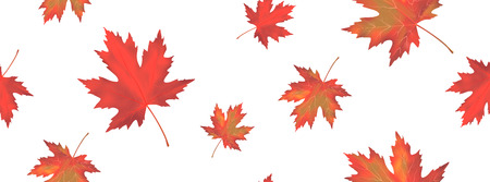 Seamless pattern with bright orange red falling maple leaves isolated on white background. Seasonal banner or holiday vintage decor. Realistic Vector illustrationのイラスト素材