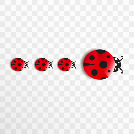 Cute cartoon ladybug family. Good luck symbol. Objects isolated on transparent background.のイラスト素材