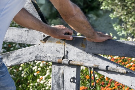 Man's hands opening or closing Rustic wooden gate of courtyard blooming garden. Summer day floral background.の写真素材