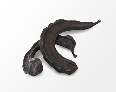 Dried brown carob fruits isolated on white background. Food and drinks ingredientの写真素材