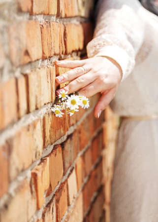 Woman's hand holding small blossoming chamomile flower bouquet on brick wall background. Focus on the female fingers .の写真素材