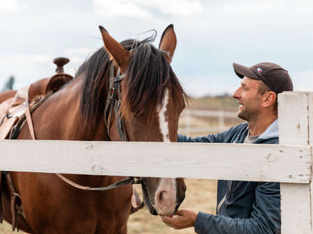 Close-up portrait of 35-40-years old rider and his bay horse standing on sky backgroundの写真素材