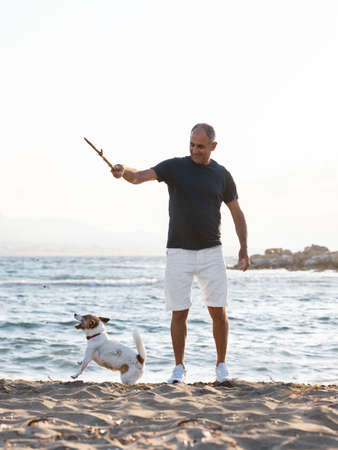 Elderly 60-years old man playing with stich with his small cute dog jack russell terrier on beachの写真素材