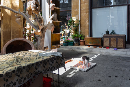 Nicosia, Cyprus - June 28, 2022: Interior of Bandabulya Municipal Market in old historical center of nord Nicosiaのeditorial素材