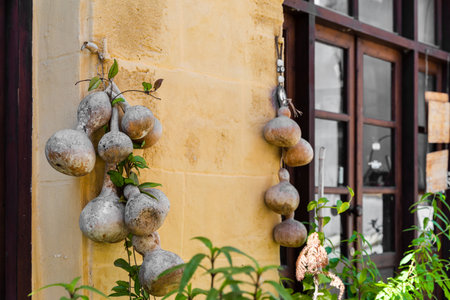 Nicosia, Cyprus - June 28, 2022: Local typical cafe natural decor in Bandabulya Municipal Market in old historical center of nord Nicosiaのeditorial素材