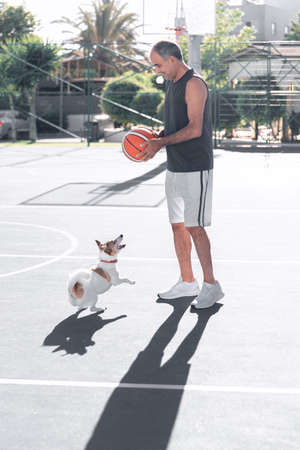 Portrait of adult senior man playing basketball with a cute dog jack russel terrier on playground outdoor at summer. A pet jumping to catch the ballの写真素材